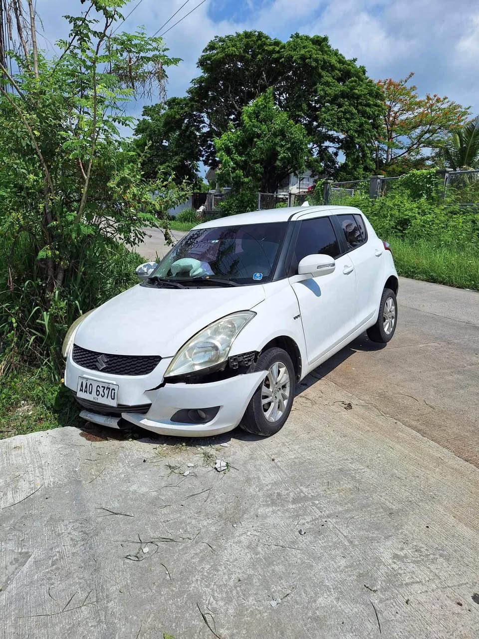 Other — Ilocos Region