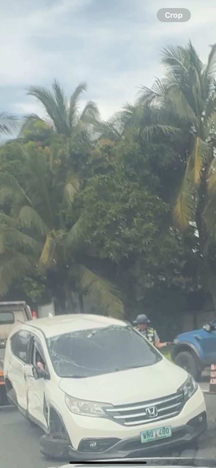 Other — Central Luzon