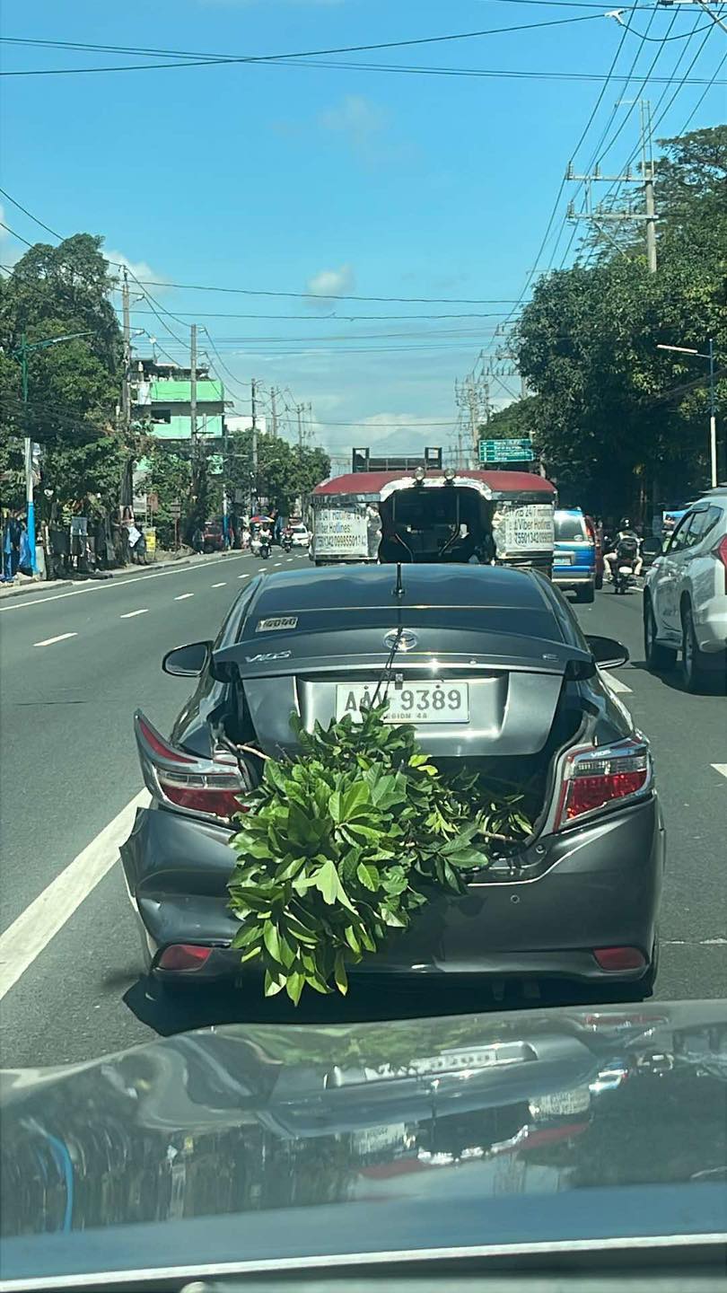 Other — Ilocos Region