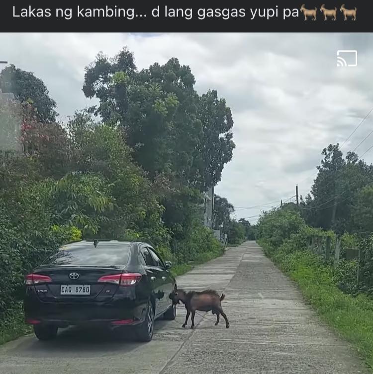 Crashed — Central Luzon